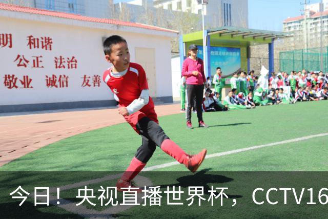今日！央视直播世界杯，CCTV16转中超，网络转大连鲲城+可为+U17中国男篮+F1等